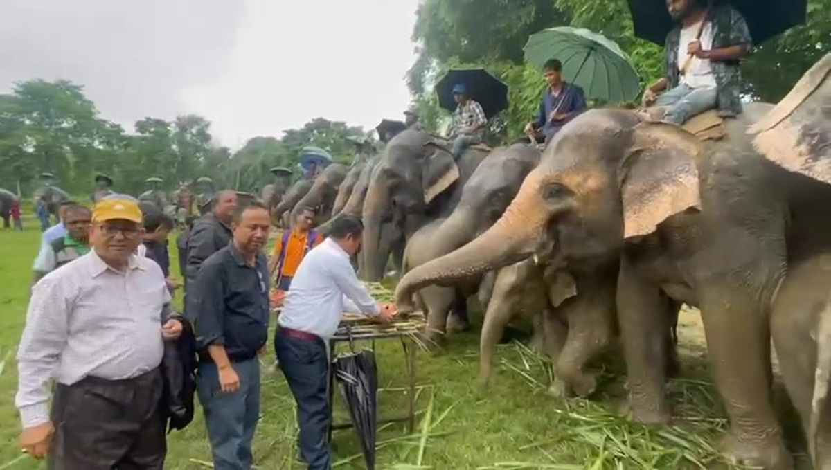 सौराहामा १७औं चितवन हात्ती तथा पर्यटन महोत्सव हुने